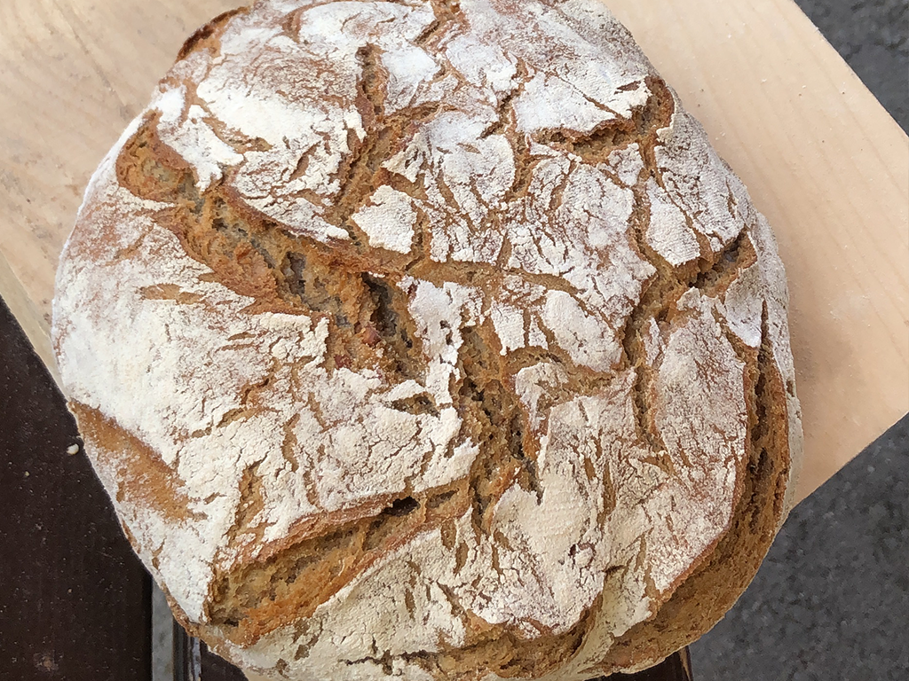 Brot1